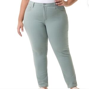 Gloria Vanderbilt Swan Series Women's Plus Amanda Slim 5 Pocket Jeans,